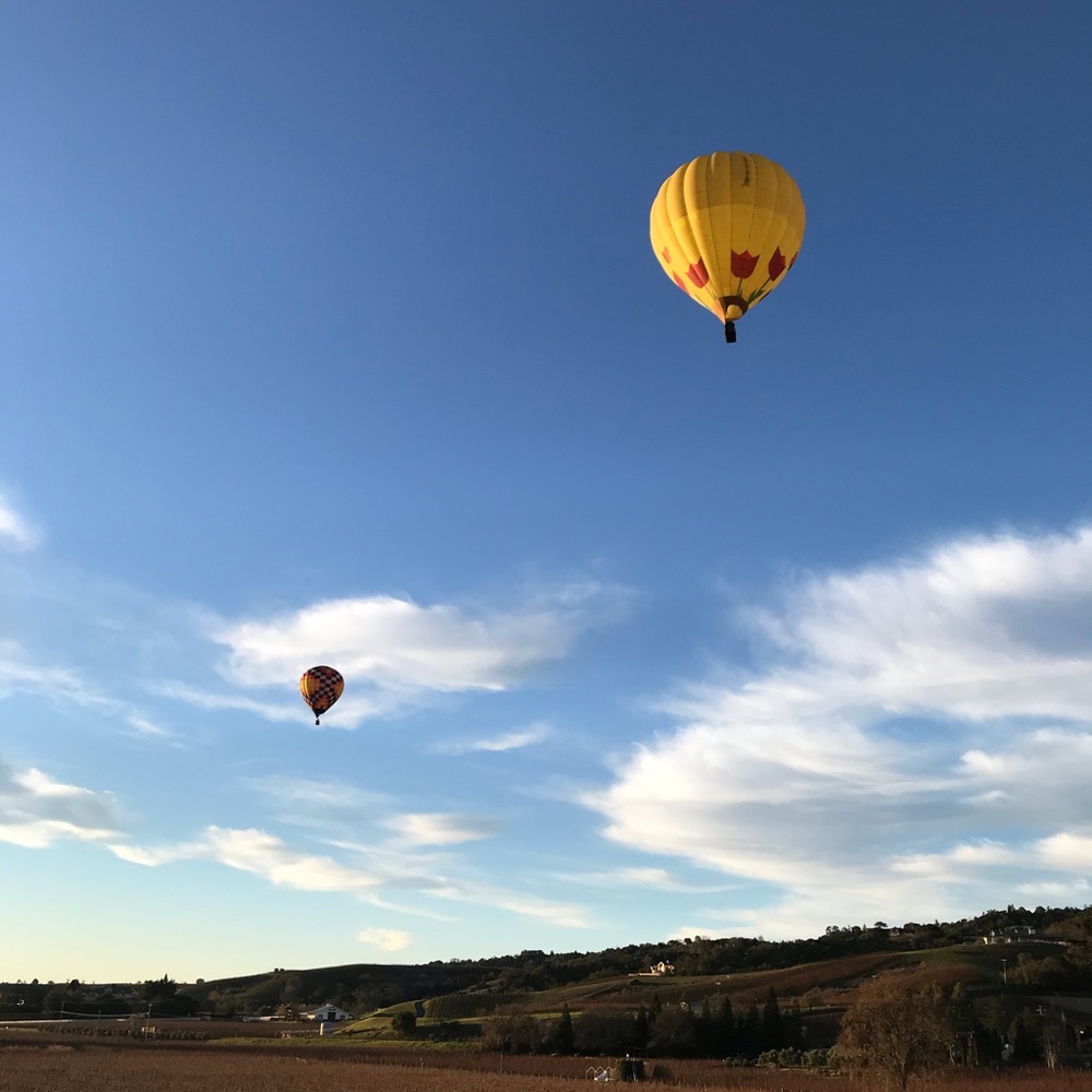 Meet your Posher, Nn